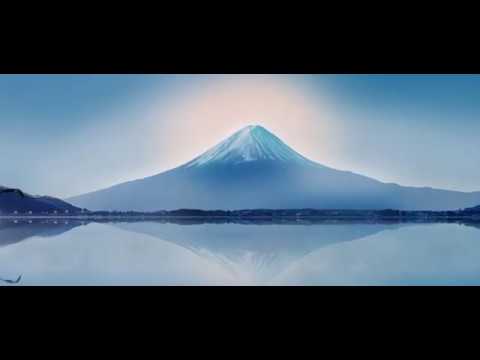 Tokyo Drone Video Tour | Expedia